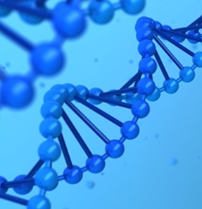 魚介類の原材料表示確認に『魚介類DNA判別検査』