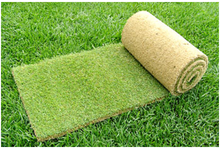 家庭用ゴルフ場グリーン芝『ベントロール巻芝』