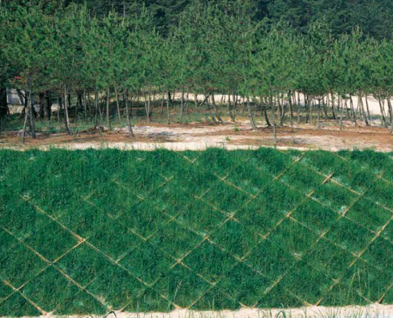 【防腐木材】​土木施設『サングリック』