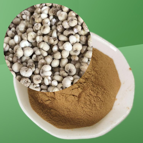 Fritillaria Extract.jpg