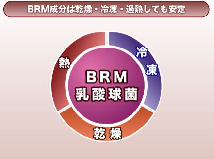 高機能乳酸菌『EF-2001』【白血球の栄養を摂取！】