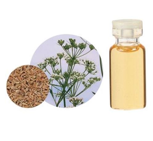 エッセンシャルオイル『アニスシード』