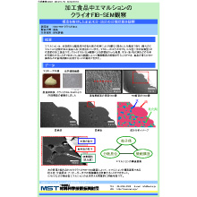 【分析事例】クライオFIB-SEM加工食品中エマルションの観察