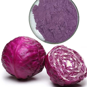 Purple Cabbage Anthocyanins.jpg