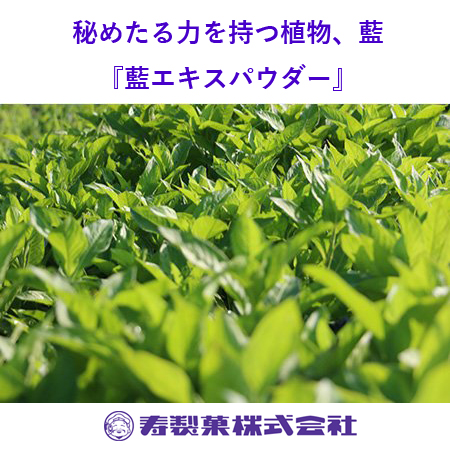 健康食品原料『藍（タデアイ）』