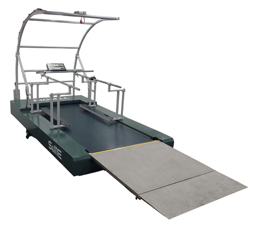 グランドトレッドミル『BIOMILL』