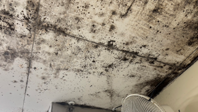 【防カビ・衛生管理】ササカン式 防カビ施工