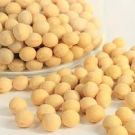 【Non-GMO確認】遺伝子組換えダイズ一斉検査