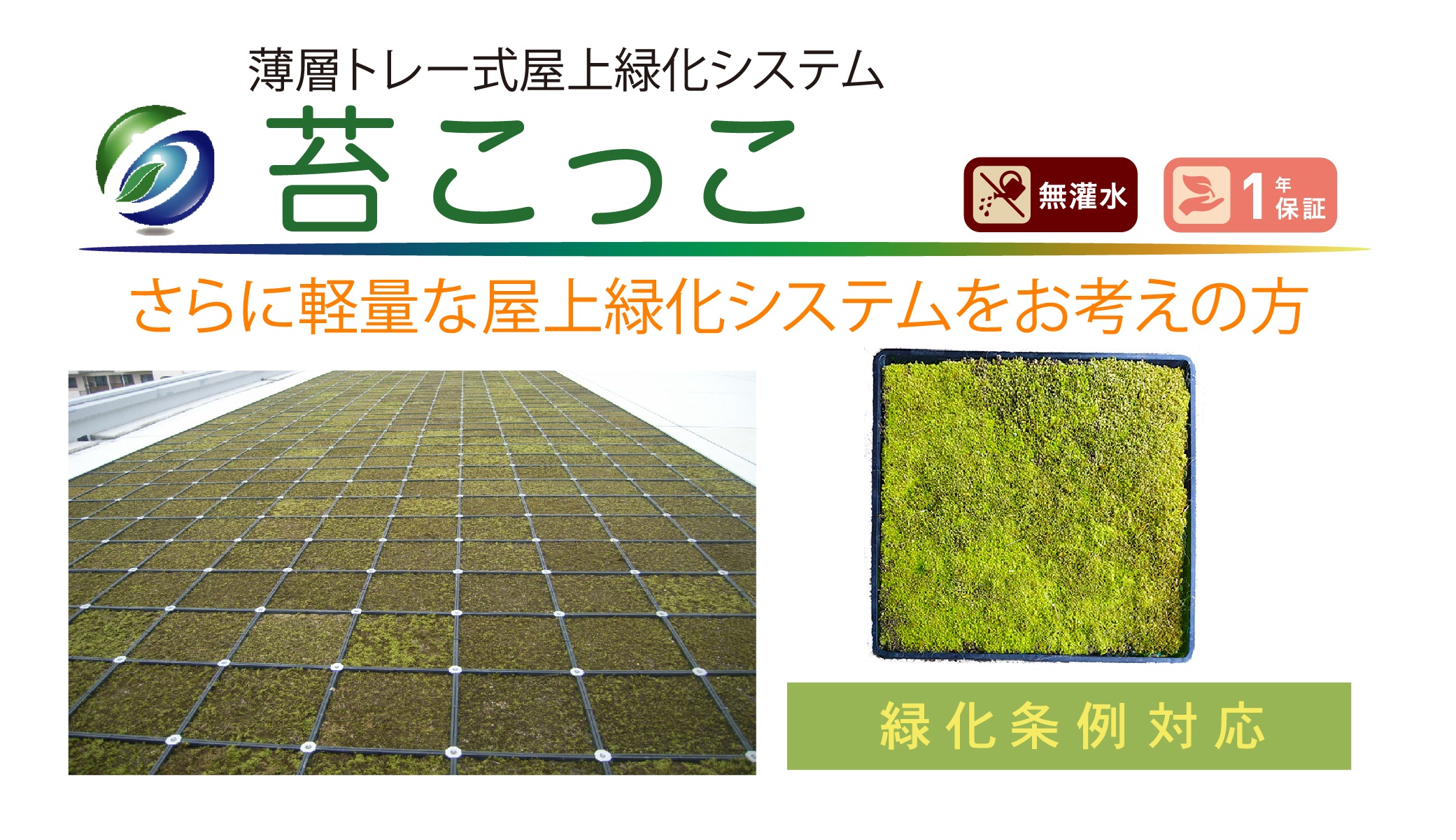 屋上緑化：薄層トレー式苔こっこ | 屋上緑化システム - Powered by