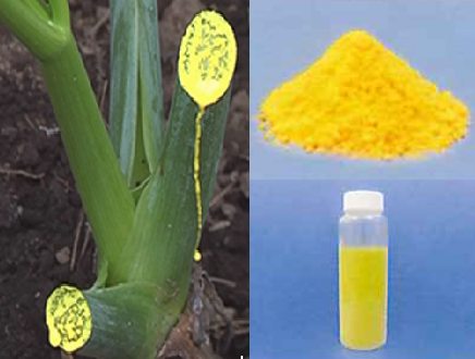 素材『カルサップ』