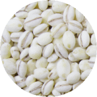 国産大麦　丸麦