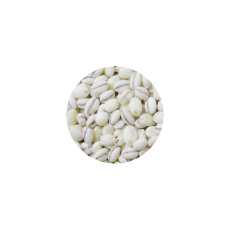 丸麦.gif