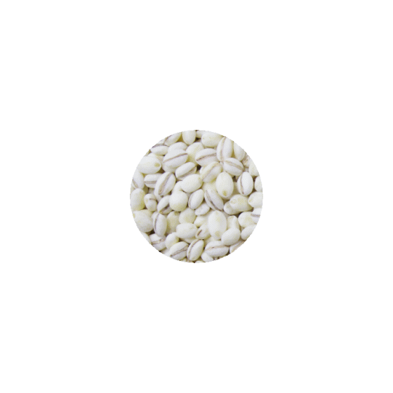 丸麦.gif