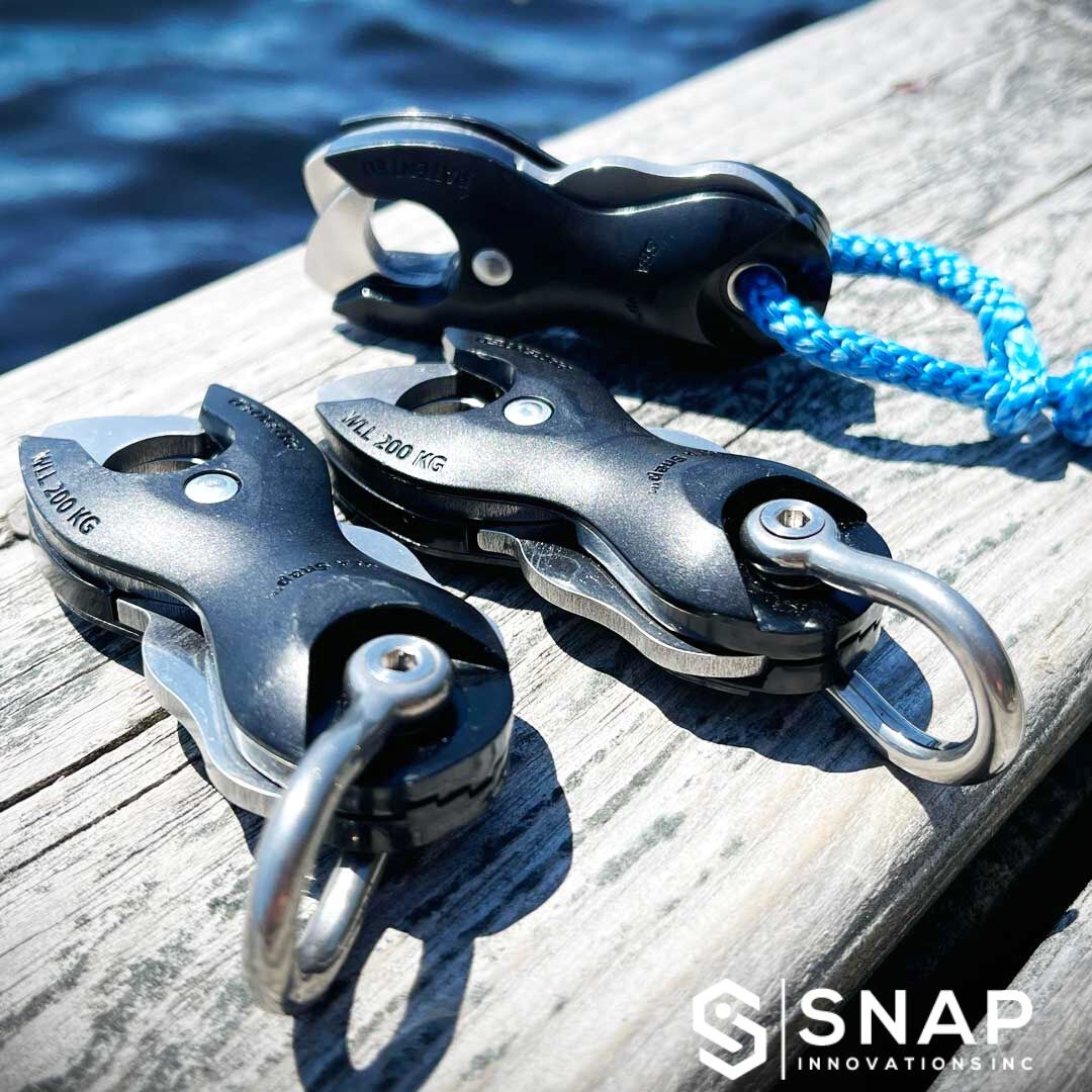 Enginuity マリンカラビナ