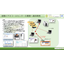 WebRTC SaverVideoConnect2 for call centers