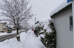 【水泥新聞 第90号】寒冷地における設置工事 3つのポイント