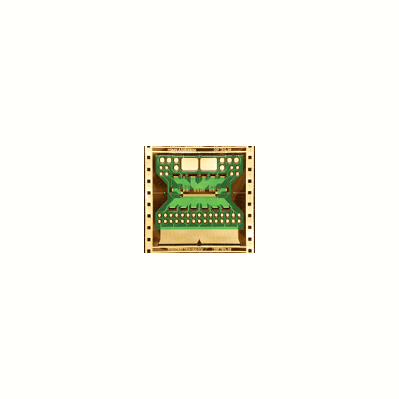 fpc1.gif