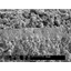 List of electrode and solid electrolyte materials for solid oxide fuel cells (SOFC).