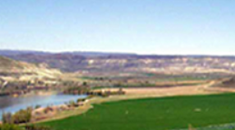 【農業・緑化・土木向け】吸水剤