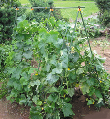 移動用・固定用アンテナ支柱セット『フィールドポール』 グラス