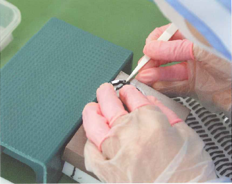 シーエステック株式会社　アッセンブリー事業紹介