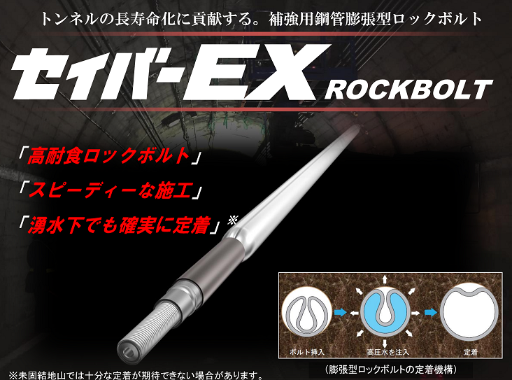 セイバーEX　ロックボルト