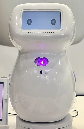 ホームロボット『cinnamon』