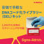 DNAコード化ライブラリー(DEL)：創薬スクリーニングの新手法