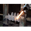 Screw regeneration and repair