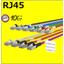 10G RJ45 patch cable with label