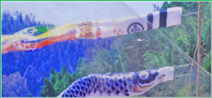 クリアパッチフィルム・自己粘着性樹脂素材