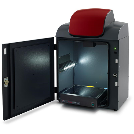 G Box F3.png
