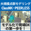 Field DX with point cloud modeling software ClassNK-PEERLESS!