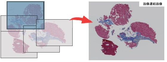 画像連結ソフトウェア『e-Tiling』