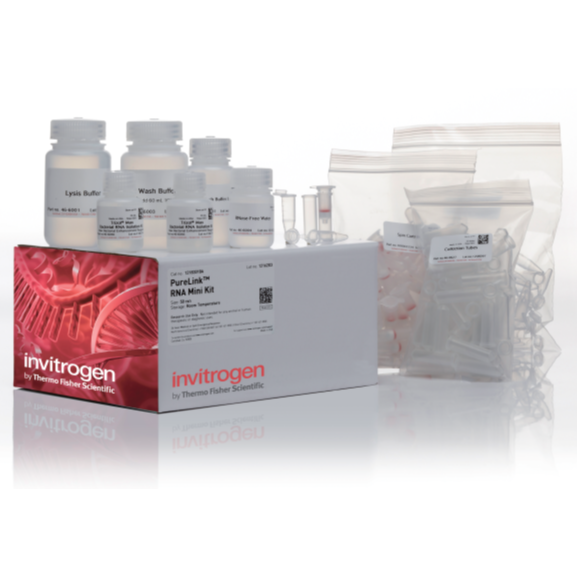 Invitrogen PureLink RNA Mini Kit サーモフィッシャーサイエンティフィック株式会社／Thermo Fisher ...