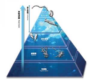 微生物製剤『活性クリーンチームNW21X』※水質改善・維持管理に