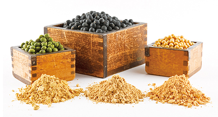 きな粉・大豆製品