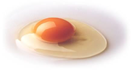 味付き生卵 製造設備