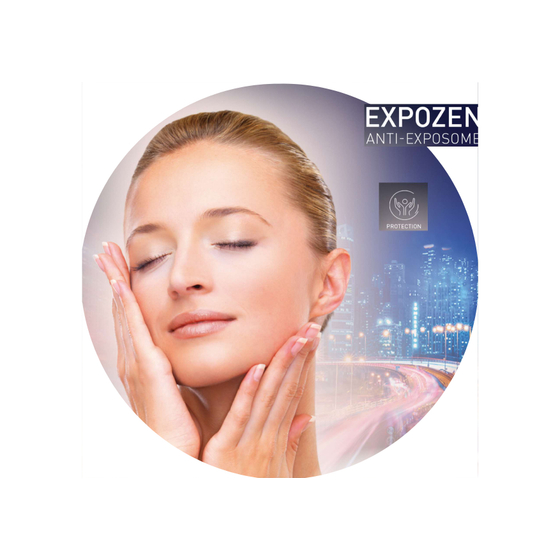EXPOZEN表紙_page-0001.jpg