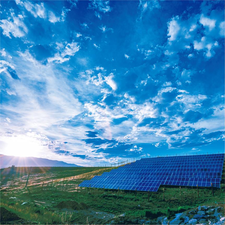 【オンライン診断実施中】太陽光発電所のメンテナンス　除草作業