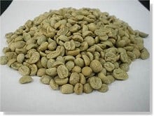 生コーヒー豆エキス末『カフェノール P-100』