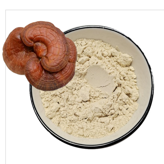 Ganoderma Extract.jpg
