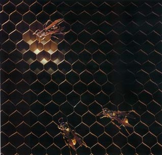 ハニカム 「ペーパーハニカム」