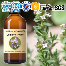 100%純天然タイム精油 common thyme oil