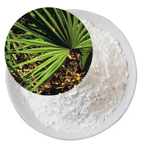 Saw Palmetto Berry Extract.jpg