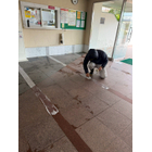 LINE_ALBUM_2026.1.19