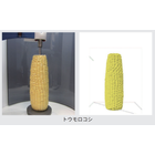 ボルスキャン_測定例_トウモロコシ.png