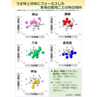 新茶の測定2.jpg