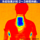D-ICE_image.jpg