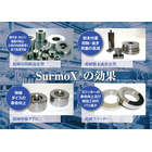 ★mizuho_A0_240222.jpg